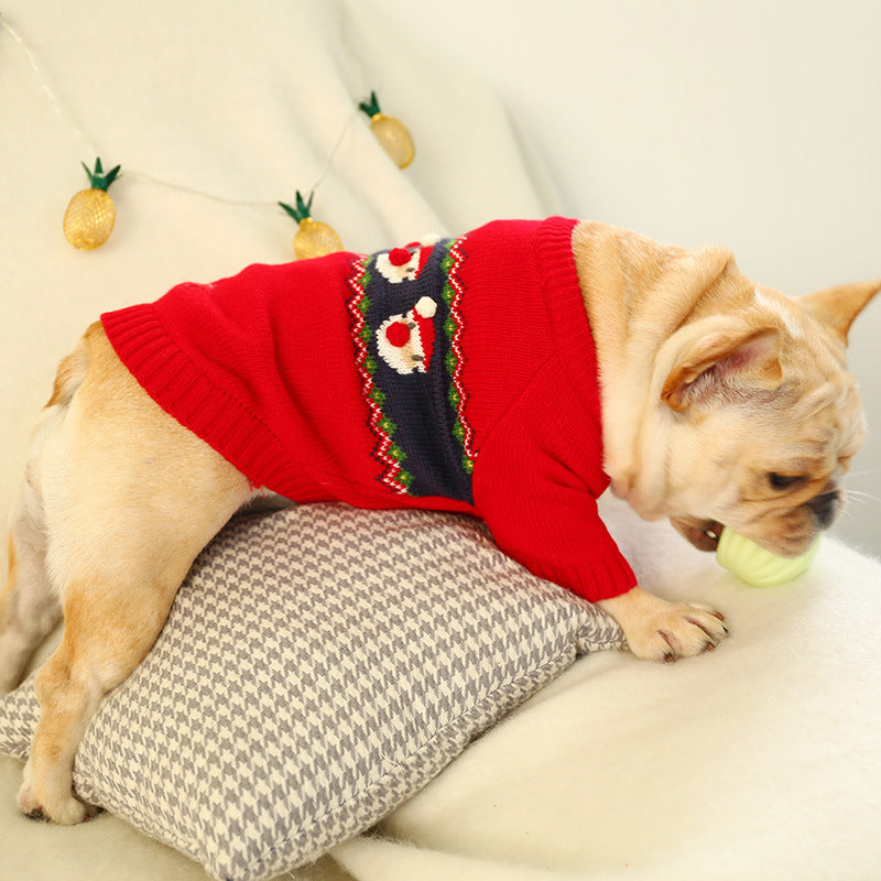 Weihnachtskleidung für Hunde