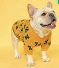 Weihnachtskleidung für Hunde
