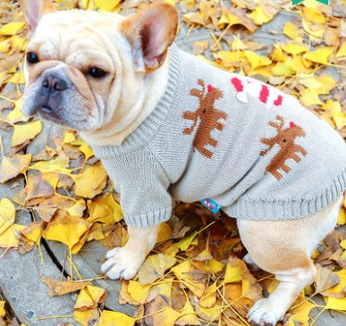 Weihnachtskleidung für Hunde